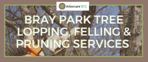 Bray Park Tree Lopping, Felling and Pruning Services