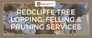 Redcliffe Tree Lopping, Felling and Pruning Services