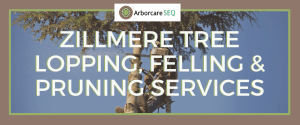 Zillmere Tree Lopping, Felling and Pruning Services