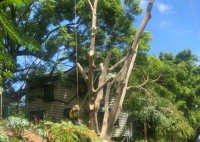 Tree Lopping Services in Narangba, Redcliffe, Burpengary, Zillmere, Strathpine, Pine Rivers, & Bray Park Gallery 15