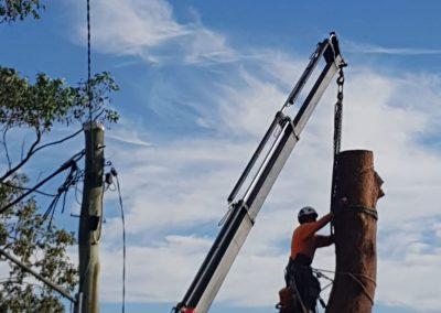 Tree Lopping Services in Narangba, Redcliffe, Burpengary, Zillmere, Strathpine, Pine Rivers, & Bray Park Gallery 01