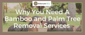 Why You Need A Bamboo and Palm Tree Removal Services