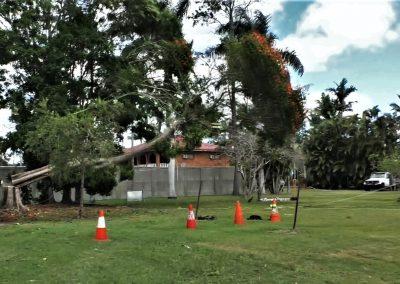 Tree Lopping Services in Narangba, Redcliffe, Burpengary, Zillmere, Strathpine, Pine Rivers, & Bray Park Gallery 20